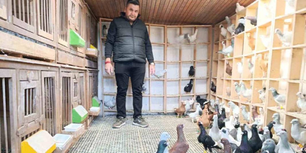 Memurluktan çocukluk hayaline geçiş yaptı! Bir tanesinin fiyatı 1 milyon lirayı buluyor 3